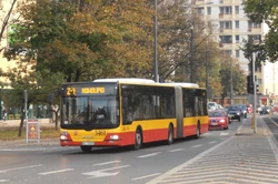 Aleja Solidarności (autobus Z-1)