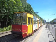 Szóstkana przystanku Las Bielański (2016)