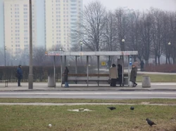 Szpital Bródnowski (przystanek)