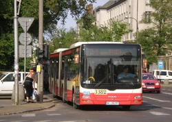 Wileńska (autobus Z-1)