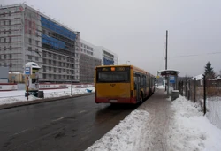 Dąbrówka Wiślana (przystanek)