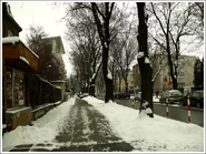 Walecznych przed skrzyżowaniem z Królowej Aldony