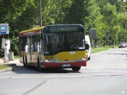 Autobus linii 523 na Radiowej zdąża na pętlę Stare Bemowo