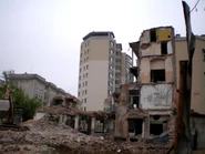 Budynek od podwórka, 14 maja 2010