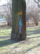 Trees-art w Parku Praskim