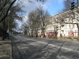 Mickiewicza (1)