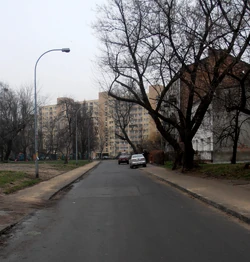 Ulica Łochowska (rejon )