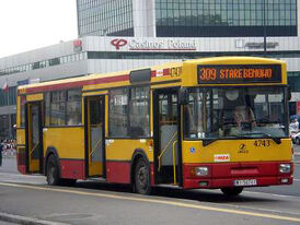 309.jpg