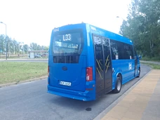 Autobus linii L33 na pętli  ()