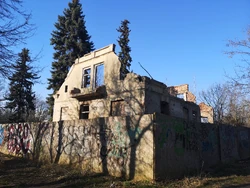 Willa Topolanka 2020 bok