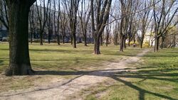 Park Inwalidów park