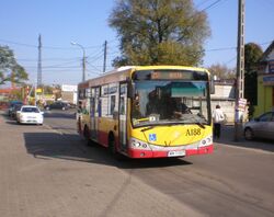 Młoda (autobus 213)