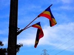 Flaga Ursynowa (Dni Ursynowa)