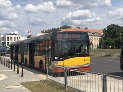 Autobus 317 wilanow