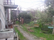 Zdjęcie0961