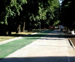 Ścieżka rowerowa w kolorze zielonym wzdłuż 