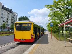 Autobus  na linii 710 na pętli  ()