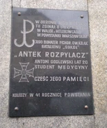 Aleje Jerozolimskie 11/19