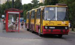 Autobus  na linii „709” na pętli  ()