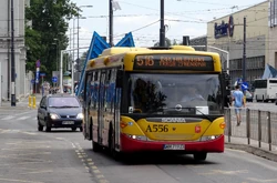 Aleja Solidarności (autobus 516)