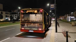 Autobus  linii N81 na pętli  ()