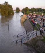 21 maja, 20:00: Pomnik Syreny na Powiślu