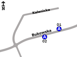 Kalenica