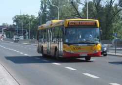 Wyb. Szczecińskie (autobus 102)