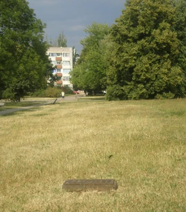 Gęsia (kratka ściekowa)