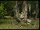 DSC07488wiki.jpg