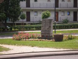 Górczewska, Staszica (kamień)