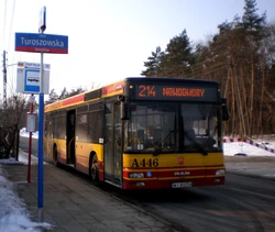 Klasyków (autobus 214)