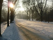 Aleja główna w zimie