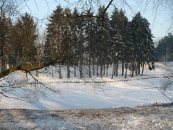 Park Skaryszewski Staw zima