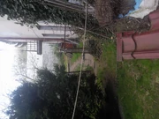 za domem,ogródek