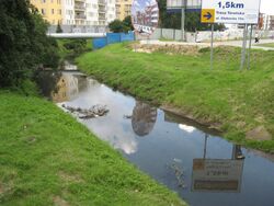 Kanal Brodnowski