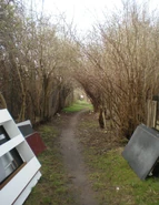 Widok ulicy z północnego krańca w stronę południową