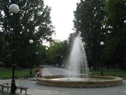 Park Dreszera 1