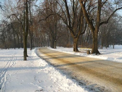 Park Skaryszewski zima