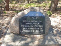 Głaz na Boernerowie (by Kubar906)