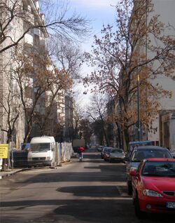 Wilcza (2)