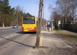 Młociny-UKSW (przystanek, autobus 114)