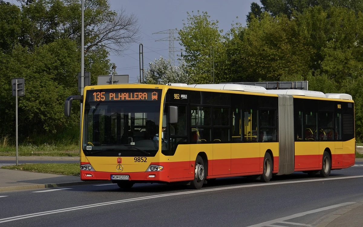 135 Warszawikia Fandom