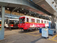 Najstarszy skład serii 81 (nr. 02) oraz Siemens Inspiro podczas Dni Transportu Publicznego (2025)