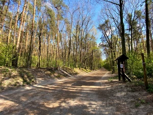 Rezerwat przyrody Las Kabacki im. Stefana Starzyńskiego