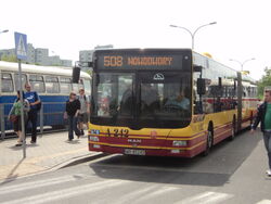 Zdjęcie archiwalne: Autobus  na linii 508 na 