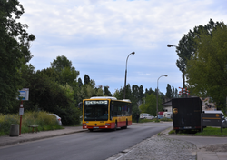 LINIA 103 C