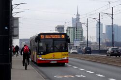 Most Poniatowskiego (autobus 151)