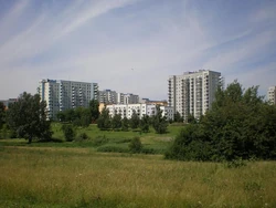 Służew współcześnie