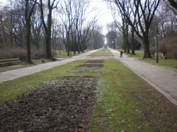 Park Skaryszewski (główna alejka)